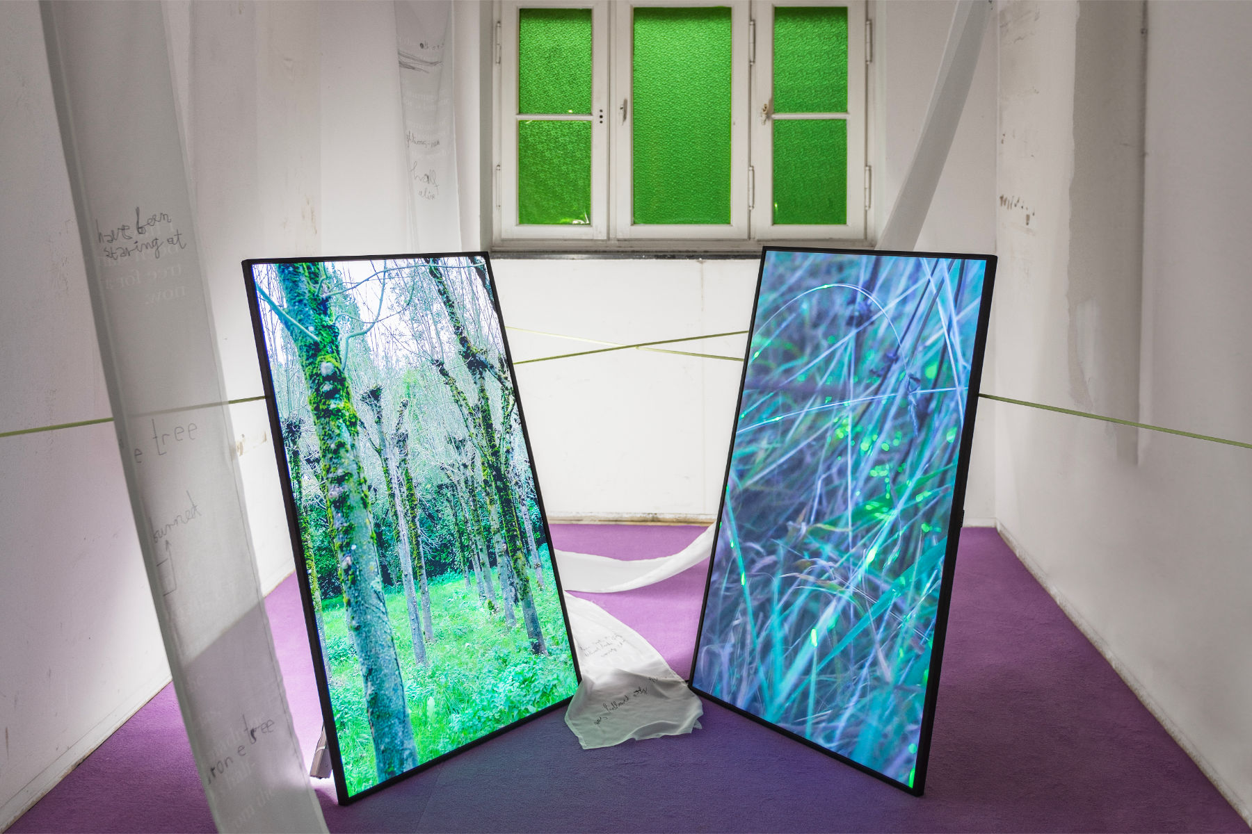 Paulina Hoffmann "Protektion 2"