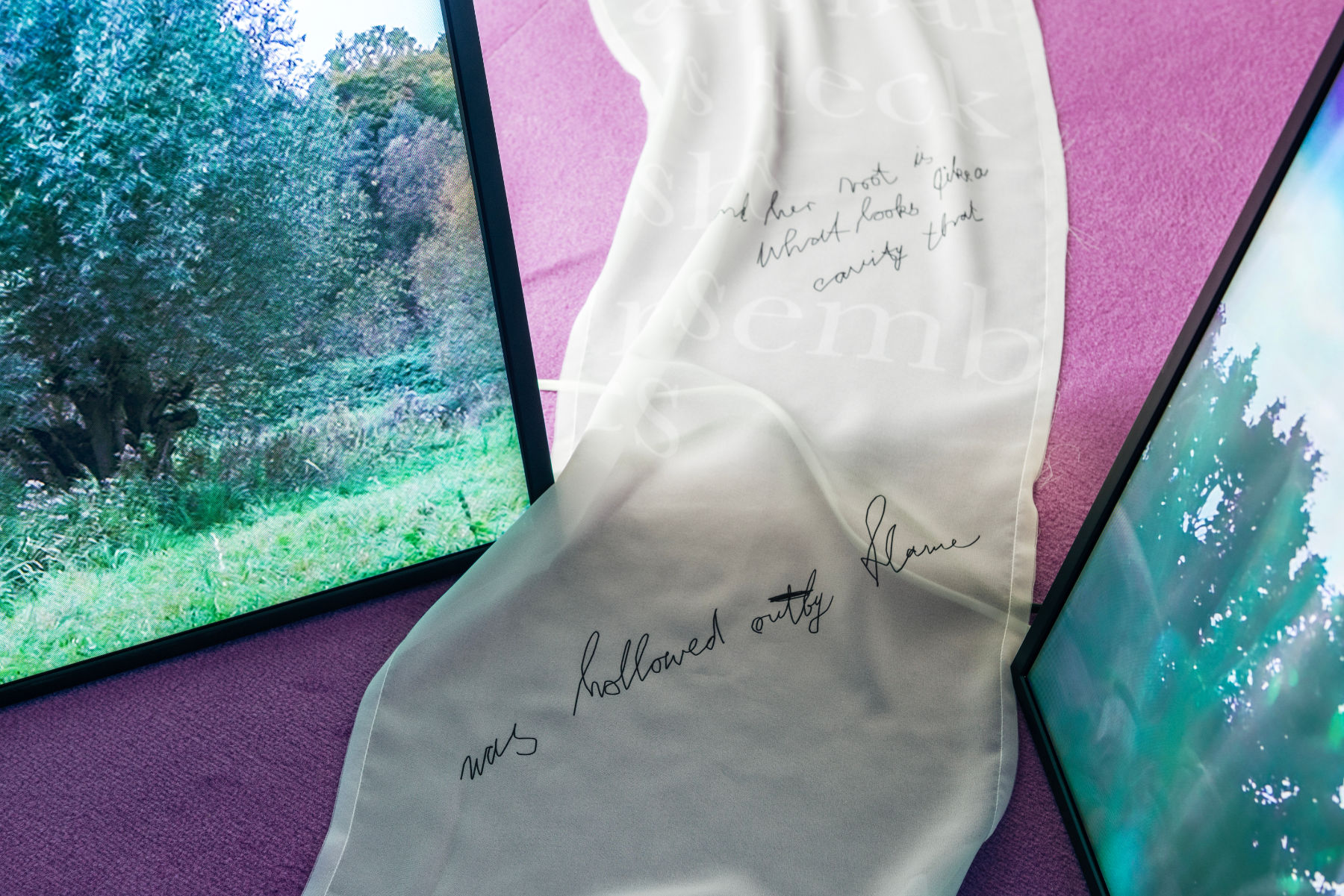 Paulina Hoffmann "Protektion 2"